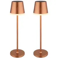 Globo Lighting 2er Set LED Solar Tischleuchte, champagner, 2 Höhen möglich, H 41 cm