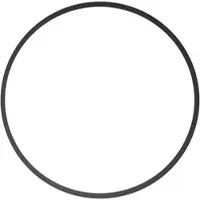 Ikelite Ersatz O-Ring für 0132.45 - DL Port System und Ultra Compact