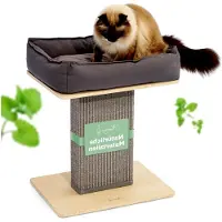 Markenlos Katzenscratchbaum klein grau | Stabiler Kratzstamm extra breit | Katzenbett mit Kissen | Katzenbaum für große Katzen | Modernes Holz in Natur | Kratzsäule | Kratzstamm