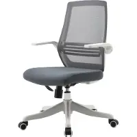 Sihoo Moderner ergonomischer Bürostuhl, Schreibtischstuhl, atmungsaktiv, Taillenstütze, anhebbare Armlehne grau
