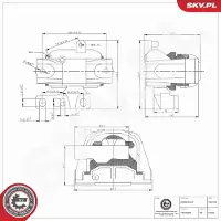 ESEN SKV Lagerung, Motor 75SKV409