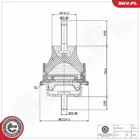ESEN SKV Lagerung, Motor 75SKV407