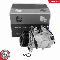 ESEN SKV Kompressor, Klimaanlage 84SKV119