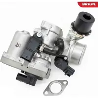 ESEN SKV Katalysator 62SKV164