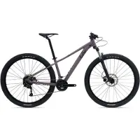 Liv Tempt 3+ Purple Ash - L - 29 Zoll