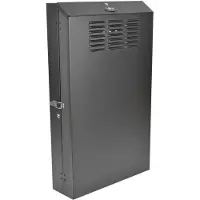 Tripp Lite SmartRack 4U Low-Profile Vertical-Mount Server-Depth Wall-Mount Rack Enclosure Cabin