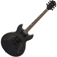 Northstar Tanglewood Pro „NSP5BK" Halbresonanz-Gitarre schwarz Open Pore