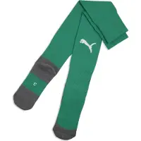 Puma teamLIGA26 Socks Core