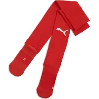 Puma teamLIGA26 Socks