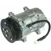 Delphi TSP0159031 Sanden SD7V16 Klimaanlage Klimakompressor PAG 46 passend für PEUGEOT 206 Schrägheck (2A/C) 206 SW (2E/K) 306 Schrägheck für CITROËN
