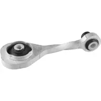 TEDGUM Motorlager Gummimetalllager Hinten für RENAULT TWINGO II (CN0) TED58267