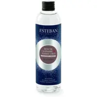 Esteban Kaschmirholz & graue Ambra Nachfüller für Bukett 250ml