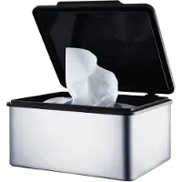 Blomus Kosmetiktücherbox Menoto Edelstahl Matt