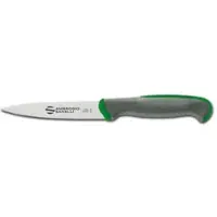 Sanelli - Spickmesser Tecna, grün, 11 cm