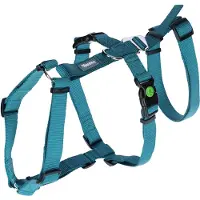 Kerbl Miami Gurtzeug Blau 20 mm x 48-70 cm Blau 20 mm x 48-70 cm