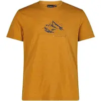 Campagnolo Herren T-Shirts/Tanks ku.Arm He/Uni MAN T-SHIRT