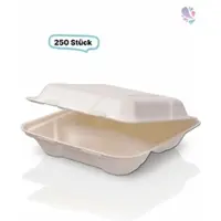 Blanc HYGIENIC Menüboxen klein Holzfaser , 215 x 215 x 60 mm, 250 Stk, wood fiber, stabil & nassfest, Holz aus der EU, kompostier- & recyclebar