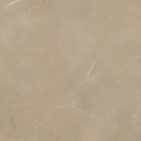 Rako Fly Feinsteinzeug-Fliese smog 60x60 cm matt DAK62886.1