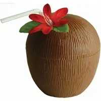 Boland Becher Kokosnuss