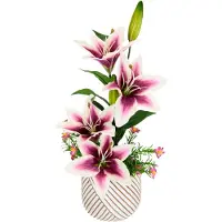 Otto Home Kunstpflanze Arrangement im Topf