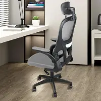DazHom Ergonomischer Bürostuhl mit Lendenstütze & Kopfstütze, Schreibtischstuhl mit atmungsaktivem Netzrücken,Arbeitsstuhl für Homeoffice/Büro (Grau)