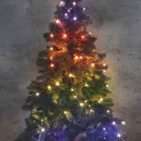 Hi LED Lichterkette mit 100 multicolor