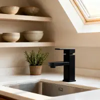 TWOLIIN Wasserhahn Bad,Schwarz Waschtischarmatur Waschbecken,Warm und Kaltwasserhahn Waschbeckenarmatur, Einhebelmischer Hochdruck Badarmatur Edelstahl Chrom Für Bad Spüle Garten Küche,TYP A