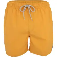Rip Curl RipCurl Offset Washed Volley golden hour (2824) XL