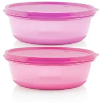 OEM Geschlossener, leckfreier, 600 ml Lebensmittelbehälter (Lila)