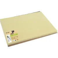 PROnappe Restposten: Einweg-Tischset, 400 x 300 mm, elfenbein
