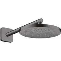 Hansgrohe Kopfbrause EcoSmart Axor Deck.- o Wd, 245mm, 1j, brush. bla vc