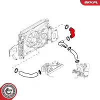 ESEN SKV 43SKV079 Turbo Ladeluftschlauch für OPEL ANTARA für CHEVROLET CAPTIVA (C100, C140)