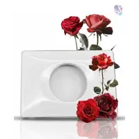 Blanc HYGIENIC Hygienetütenspender FIX, für Damenhygienebeutel/-tüten, Wandmontage