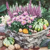 Home Fashion , Autumn Basket, Lunch-Servietten aufgefaltetes Maß 33 cm x 33 cm, im Viertelfalz, 20 Stück pro Pack, 12 Pack pro Karton