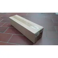Ricoh Development Unit BK