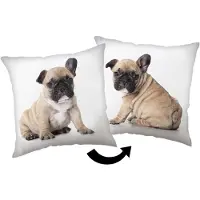 Jerry Fabrics FABRICS Polyester-Kissen Bulldogge, 40/40 cm