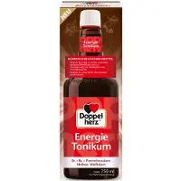 Queisser Pharma GmbH & Co. KG Energie Tonikum 750 ml