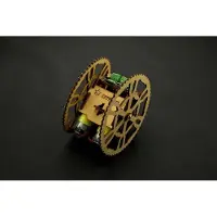 DFRobot Flamewheel - 2WD ferngesteuerter Roboter