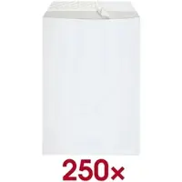 STEINMETZ 250 Versandtaschen B4 ohne Fenster, Haftklebung weiß, 35.3x25 cm