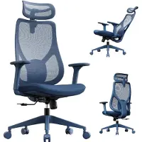 Sense7 Moyo Ergonomischer Bürostuhl Schreibtischstuhl Blau 3D-Armlehnen Netzrücken Lendenwirbelstütze Chefsessel PC Stuhl Homeoffice 150 kg