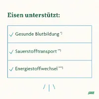 Salus Floradix Eisen plus B12 vegan Kapseln 2x 2x40 St