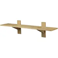 FDB Møbler - B100 Wandregal 23 x 100 cm, Eiche natur