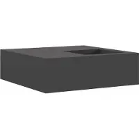 vidaXL Feuerstelle Schwarz 100 x 100 x 30 cm Wetterfeststahl