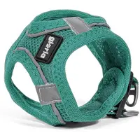 Big Buy Cooking Geschirr für Perro Gloria Trek Star 24-26 cm 28-28,6 cm Türkis XXS