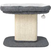 Coast Kratzbaum Klein, 50cm hoch, Katzenbaum mit weicher Plüschsitzfläche & Sisal-Kratzsäule & Ball, Katzenkratzbaum Holz, Katzen Katzenmöbel Kletterbaum, Aktivitätsbaum Spielbaum (Grau)