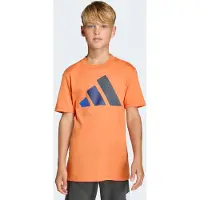 Adidas Kinder Shirt J BL TEE 160