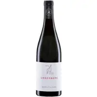 Weingut Paul Achs Blaufränkisch Ungerberg 2016 Paul Achs 0,75l