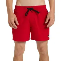 Quiksilver Badeshorts EVERYDAY VOLLEY 15 herren
