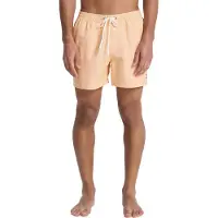Quiksilver Badeshorts EVERYDAY DELUXE VOLLEY 15 herren