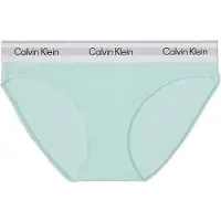 Calvin Klein Lv00qf8520 Slip